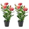 2-delige Set: Kunstplanten Roze/groen - (H)58 Cm