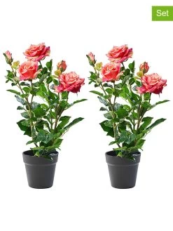 2-delige Set: Kunstplanten Roze/groen - (H)58 Cm