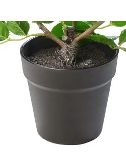 2-delige Set: Kunstplanten Roze/groen - (H)58 Cm -Home Uitgebreid Winkel amare 2 delige set kunstplanten roze groen h 58 cm 4