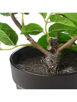 2-delige Set: Kunstplanten Roze/groen - (H)58 Cm -Home Uitgebreid Winkel amare 2 delige set kunstplanten roze groen h 58 cm 5