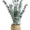 Kunstplant "Eukalyptus" Groen - (H)50 Cm -Home Uitgebreid Winkel amare kunstplant eukalyptus groen h 50 cm