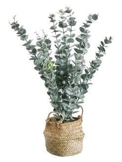 Kunstplant "Eukalyptus" Groen - (H)50 Cm
