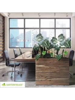 Plantenhouder "Antigua" Donkergrijs - (L)75 X (B)27 X (H)64 Cm 16 Plantenhouder "Antigua" Donkergrijs - (L)75 X (B)27 X (H)64 Cm -Home Uitgebreid Winkel amare plantenhouder antigua donkergrijs l 75 x b 27 x h 64 cm 6