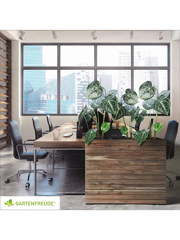 Plantenhouder "Antigua" Donkergrijs - (L)75 X (B)27 X (H)64 Cm 9 Plantenhouder "Antigua" Donkergrijs - (L)75 X (B)27 X (H)64 Cm - Afbeelding 7