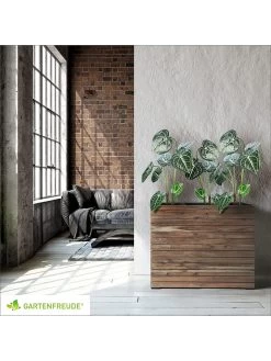 Plantenhouder "Antigua" Donkergrijs - (L)75 X (B)27 X (H)64 Cm 17 Plantenhouder "Antigua" Donkergrijs - (L)75 X (B)27 X (H)64 Cm -Home Uitgebreid Winkel amare plantenhouder antigua donkergrijs l 75 x b 27 x h 64 cm 7