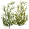 2-delige Set: Decoratieve Takken Groen - (L)119 Cm -Home Uitgebreid Winkel boltze 2 delige set decoratieve takken groen l 119 cm