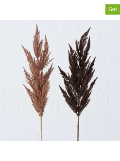 2-delige Set: Decoratieve Takken "Pampasgras" Bruin - (B)12 X (H)95 Cm