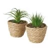 2-delige Set: Kunstplanten "Aloe" Groen - (H)20 X Ø 13 Cm -Home Uitgebreid Winkel boltze 2 delige set kunstplanten aloe groen h 20 x o 13 cm