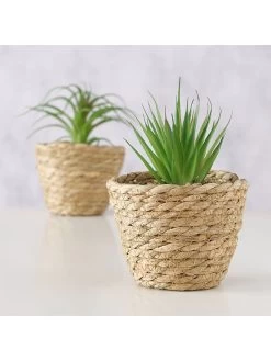 2-delige Set: Kunstplanten "Aloe" Groen - (H)20 X Ø 13 Cm -Home Uitgebreid Winkel boltze 2 delige set kunstplanten aloe groen h 20 x o 13 cm 3