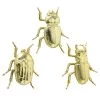 3-delige Set: Decoratieve Figuur "Kever" Goudkleurig - (H)3,5 Cm -Home Uitgebreid Winkel boltze 3 delige set decoratieve figuur kever goudkleurig h 3 5 cm