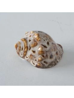 4-delge Set: Schelpen Crème/bruin - (H)4 Cm -Home Uitgebreid Winkel boltze 4 delge set schelpen creme bruin h 4 cm 2