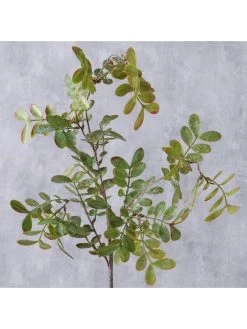 Decoratieve Bloem "Blad" Groen - (B)94 X (H)20 Cm -Home Uitgebreid Winkel boltze decoratieve bloem blad groen b 94 x h 20 cm 3