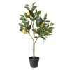 Kunstplant "Citroenboompje" Groen - (B)30 X (H)73 X (D)20 Cm -Home Uitgebreid Winkel boltze kunstplant citroenboompje groen b 30 x h 73 x d 20 cm