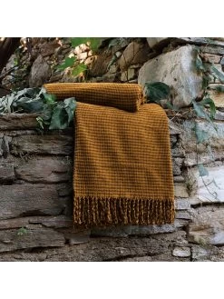 Cacharel Plaid "Pied" Geel/oranje