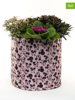 Disney 3-delige Set: Bloempotten "Micky" Lichtroze/groen/paars - 9 L
