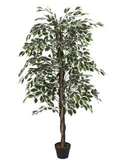 Kunstplant Groen - (H)80 X (H)170 Cm