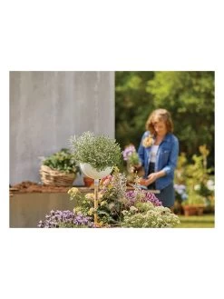 Gardena Plantenschaal "ClickUp!" Wit - (H)15 Cm -Home Uitgebreid Winkel gardena plantenschaal clickup wit h 15 cm 3