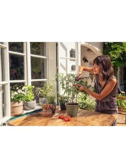 Gardena Schaar "Fresh Cut" Grijs -Home Uitgebreid Winkel gardena schaar fresh cut grijs 3