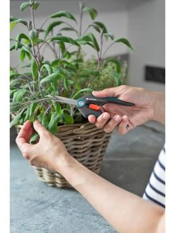 Gardena Schaar "Fresh Cut" Grijs -Home Uitgebreid Winkel gardena schaar fresh cut grijs 4