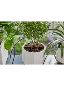 Gardena Vakantiebewatering Grijs -Home Uitgebreid Winkel gardena vakantiebewatering grijs 5