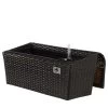 Balkonplantenbak Met Bewateringssysteem Bruin - (B)52 X (H)25 X (D)22 Cm -Home Uitgebreid Winkel gartenfreude balkonplantenbak met bewateringssysteem bruin b 52 x h 25 x d 22 cm