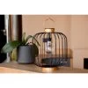 Ledsolarlamp "Coco" Zwart - (H)35 Cm -Home Uitgebreid Winkel lumisky ledsolarlamp coco zwart h 35 cm