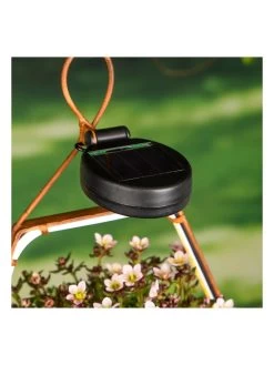 Ledsolarhanglamp Lichtbruin - (B)34,7 X (H)19,8 X (D)10,8 Cm -Home Uitgebreid Winkel profigarden ledsolarhanglamp lichtbruin b 34 7 x h 19 8 x d 10 8 cm 1