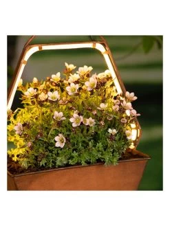 Ledsolarhanglamp Lichtbruin - (B)34,7 X (H)19,8 X (D)10,8 Cm -Home Uitgebreid Winkel profigarden ledsolarhanglamp lichtbruin b 34 7 x h 19 8 x d 10 8 cm 2