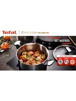 Tefal Vispan "Emotion" Zilverkleurig - (L)36 X (B)26 Cm -Home Uitgebreid Winkel tefal vispan emotion zilverkleurig l 36 x b 26 cm 5