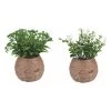 6-delige Set: Kunstplanten Lichtbruin/groen - (H)14,5 Cm -Home Uitgebreid Winkel villa d este 6 delige set kunstplanten lichtbruin groen h 14 5 cm